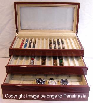 W-B Pen and Watch